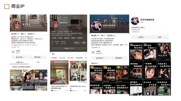 商业IP